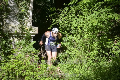 Marathon_Cheverny2026_Samedi/CHEVERNYTRAIL2026_01997.JPG