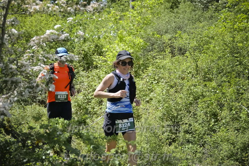 Marathon_Cheverny2026_Samedi/CHEVERNYTRAIL2026_03924.JPG