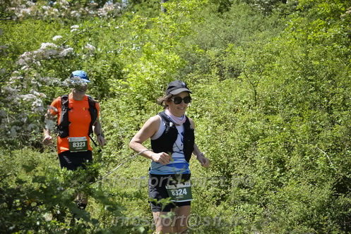 Marathon_Cheverny2026_Samedi/CHEVERNYTRAIL2026_03925.JPG