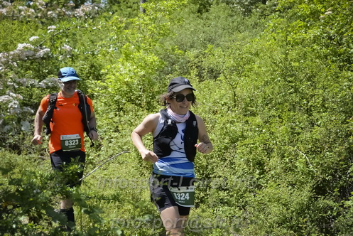 Marathon_Cheverny2026_Samedi/CHEVERNYTRAIL2026_03926.JPG