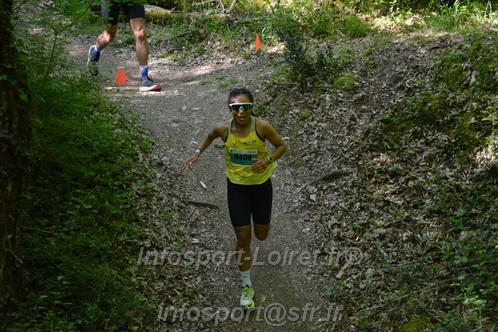 Marathon_Cheverny2026_Samedi/CHEVERNYTRAIL2026_04208.JPG
