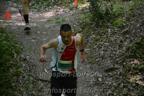 Marathon_Cheverny2026_Samedi/CHEVERNYTRAIL2026_04214.JPG