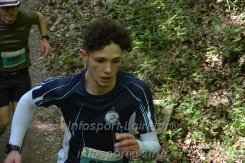 Marathon_Cheverny2026_Samedi/CHEVERNYTRAIL2026_04244.JPG