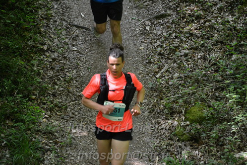 Marathon_Cheverny2026_Samedi/CHEVERNYTRAIL2026_04247.JPG