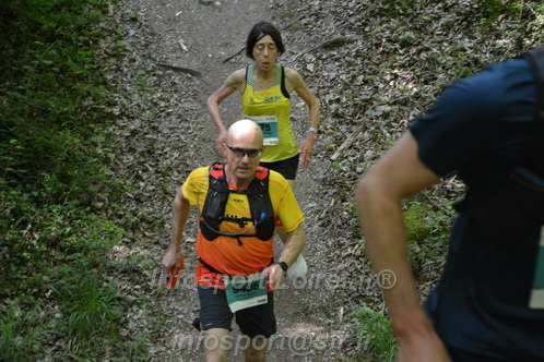 Marathon_Cheverny2026_Samedi/CHEVERNYTRAIL2026_04342.JPG