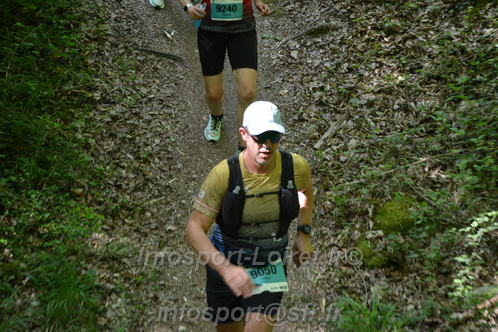 Marathon_Cheverny2026_Samedi/CHEVERNYTRAIL2026_04438.JPG
