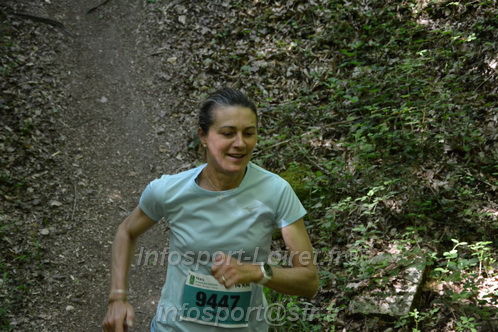 Marathon_Cheverny2026_Samedi/CHEVERNYTRAIL2026_04476.JPG