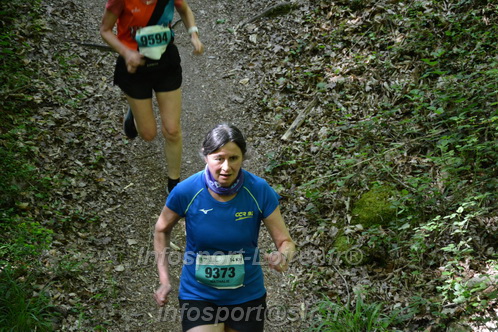 Marathon_Cheverny2026_Samedi/CHEVERNYTRAIL2026_04521.JPG