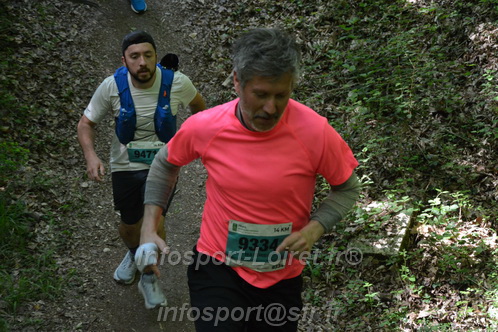 Marathon_Cheverny2026_Samedi/CHEVERNYTRAIL2026_04612.JPG