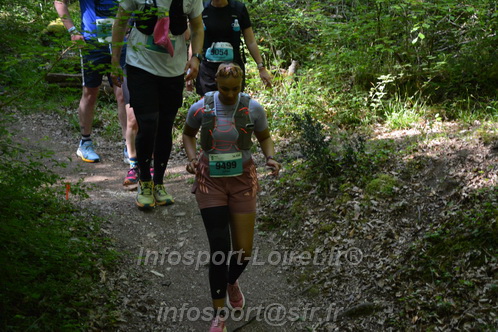 Marathon_Cheverny2026_Samedi/CHEVERNYTRAIL2026_04765.JPG