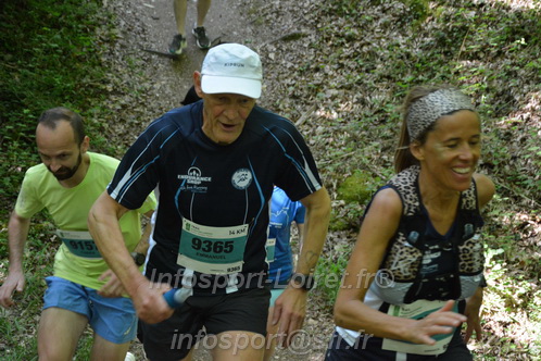 Marathon_Cheverny2026_Samedi/CHEVERNYTRAIL2026_04804.JPG