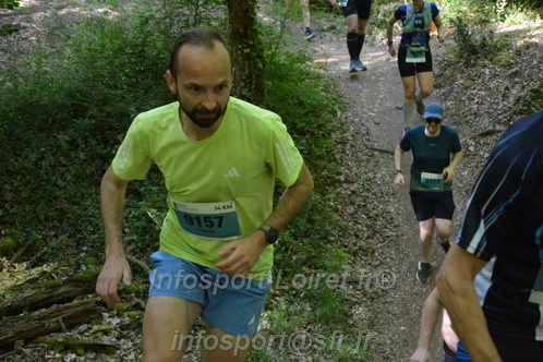 Marathon_Cheverny2026_Samedi/CHEVERNYTRAIL2026_04806.JPG