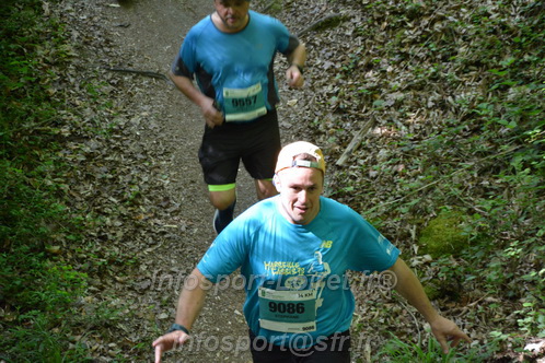 Marathon_Cheverny2026_Samedi/CHEVERNYTRAIL2026_04846.JPG