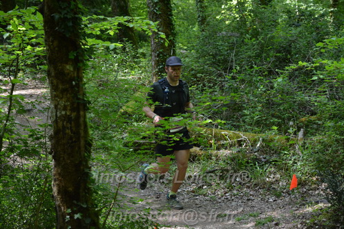 Marathon_Cheverny2026_Samedi/CHEVERNYTRAIL2026_05238.JPG