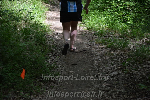 Marathon_Cheverny2026_Samedi/CHEVERNYTRAIL2026_06569.JPG