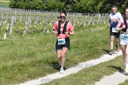 Marathon_Cheverny2026_Samedi/CHEVERNYTRAIL2026_07356.JPG