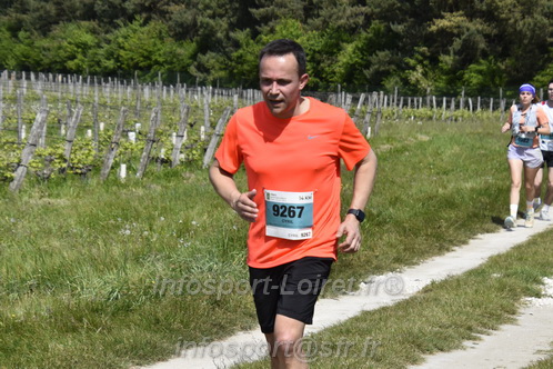 Marathon_Cheverny2026_Samedi/CHEVERNYTRAIL2026_07453.JPG