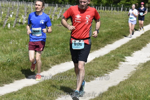 Marathon_Cheverny2026_Samedi/CHEVERNYTRAIL2026_07492.JPG