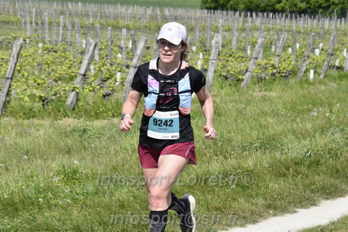 Marathon_Cheverny2026_Samedi/CHEVERNYTRAIL2026_07517.JPG