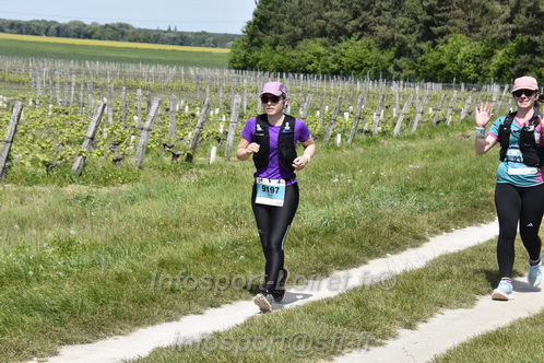 Marathon_Cheverny2026_Samedi/CHEVERNYTRAIL2026_07669.JPG