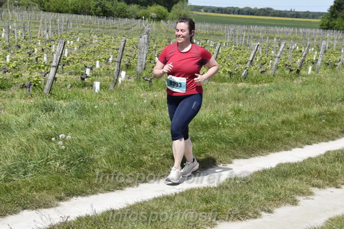 Marathon_Cheverny2026_Samedi/CHEVERNYTRAIL2026_07799.JPG