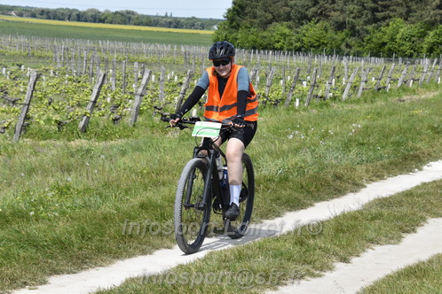 Marathon_Cheverny2026_Samedi/CHEVERNYTRAIL2026_07949.JPG