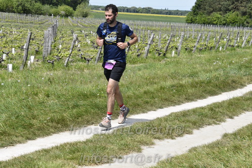 Marathon_Cheverny2026_Samedi/CHEVERNYTRAIL2026_07994.JPG