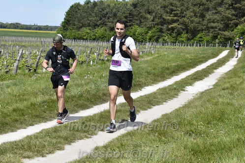 Marathon_Cheverny2026_Samedi/CHEVERNYTRAIL2026_08014.JPG