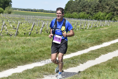 Marathon_Cheverny2026_Samedi/CHEVERNYTRAIL2026_08021.JPG