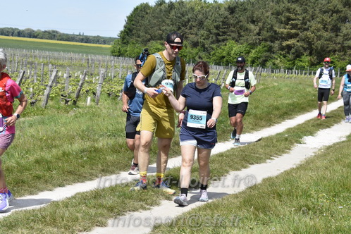 Marathon_Cheverny2026_Samedi/CHEVERNYTRAIL2026_08036.JPG