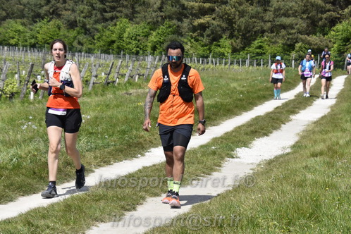 Marathon_Cheverny2026_Samedi/CHEVERNYTRAIL2026_08170.JPG