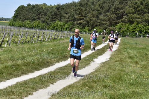 Marathon_Cheverny2026_Samedi/CHEVERNYTRAIL2026_08207.JPG