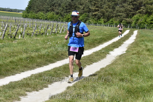 Marathon_Cheverny2026_Samedi/CHEVERNYTRAIL2026_08234.JPG
