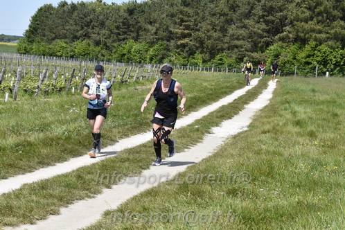 Marathon_Cheverny2026_Samedi/CHEVERNYTRAIL2026_08241.JPG
