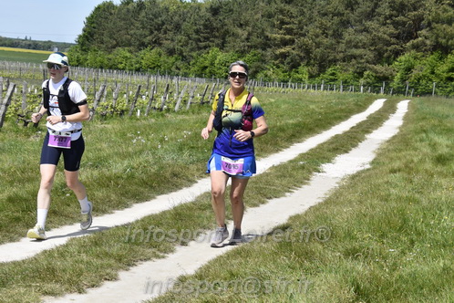 Marathon_Cheverny2026_Samedi/CHEVERNYTRAIL2026_08282.JPG