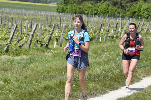 Marathon_Cheverny2026_Samedi/CHEVERNYTRAIL2026_08297.JPG