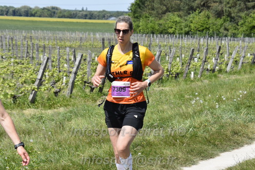 Marathon_Cheverny2026_Samedi/CHEVERNYTRAIL2026_08306.JPG