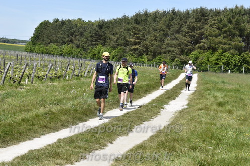 Marathon_Cheverny2026_Samedi/CHEVERNYTRAIL2026_08361.JPG