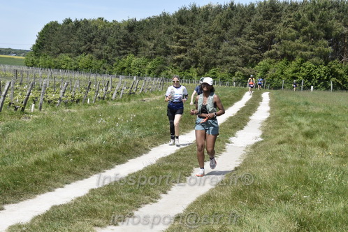Marathon_Cheverny2026_Samedi/CHEVERNYTRAIL2026_08369.JPG