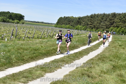 Marathon_Cheverny2026_Samedi/CHEVERNYTRAIL2026_08385.JPG