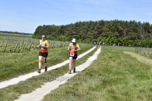 Marathon_Cheverny2026_Samedi/CHEVERNYTRAIL2026_08391.JPG