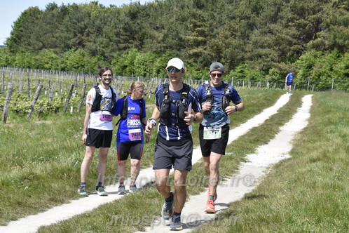 Marathon_Cheverny2026_Samedi/CHEVERNYTRAIL2026_08441.JPG