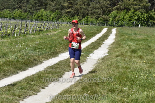 Marathon_Cheverny2026_Samedi/CHEVERNYTRAIL2026_08456.JPG