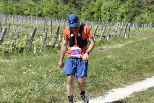 Marathon_Cheverny2026_Samedi/CHEVERNYTRAIL2026_08556.JPG