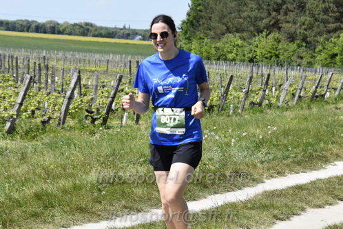 Marathon_Cheverny2026_Samedi/CHEVERNYTRAIL2026_08572.JPG