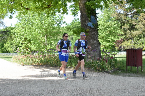 Marathon_Cheverny2026_Samedi/CHEVERNYTRAIL2026_08799.JPG