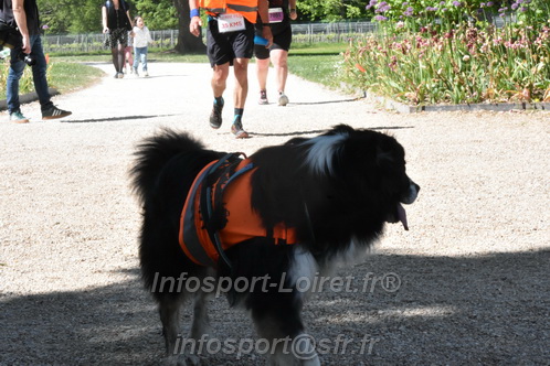 Marathon_Cheverny2026_Samedi/CHEVERNYTRAIL2026_08917.JPG