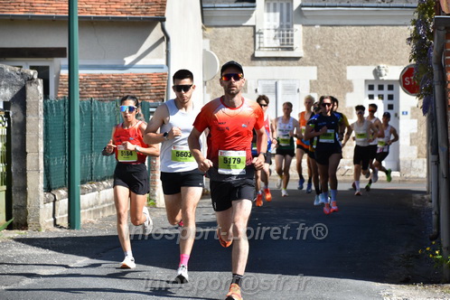 Marathon_Cheverny2026_Samedi/CHEVERNYTRAIL2026_15174.JPG